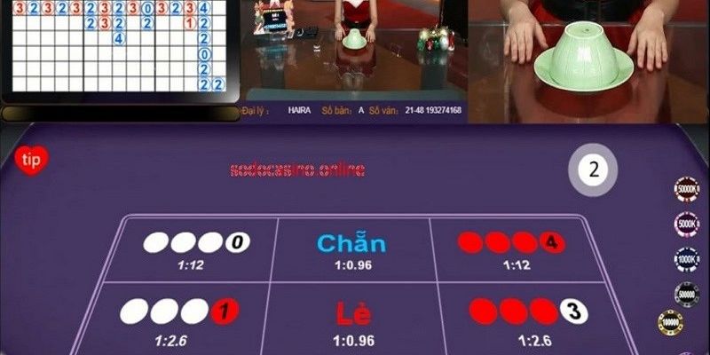 Tổng quan cách bắt cầu xóc đĩa